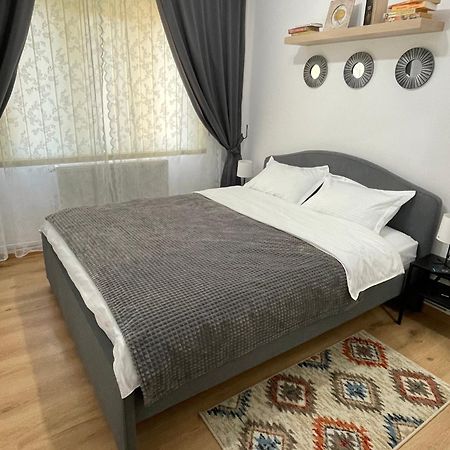 Apartament Cina Husi エクステリア 写真