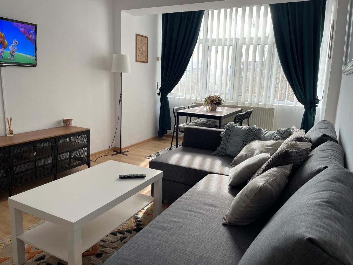 Apartament Cina Husi エクステリア 写真