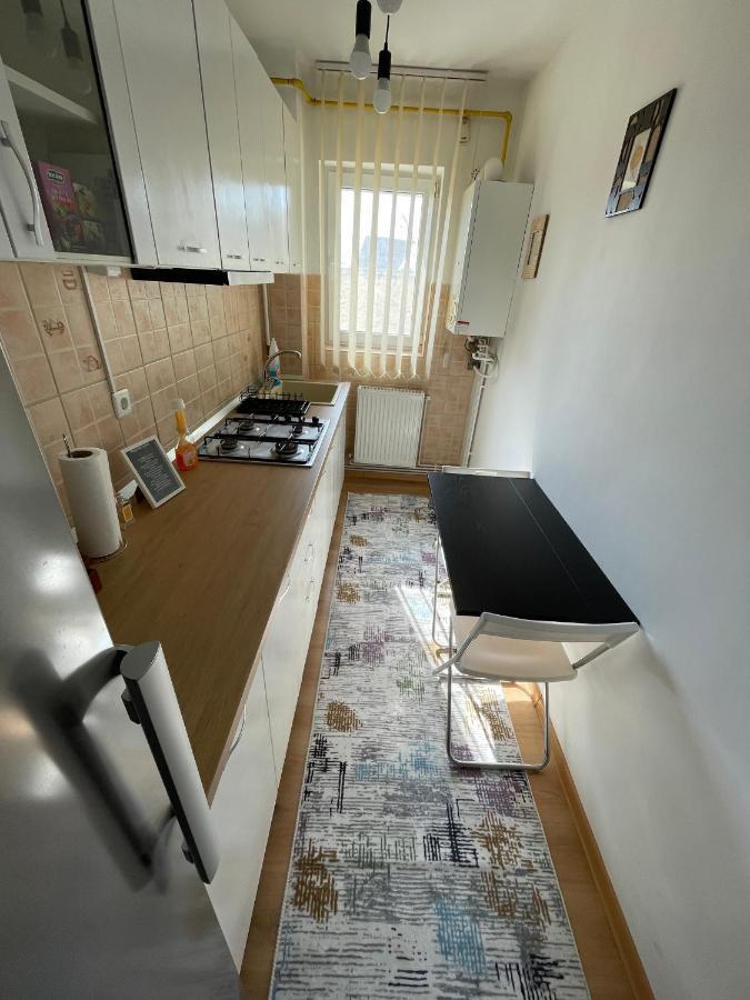 Apartament Cina Husi エクステリア 写真