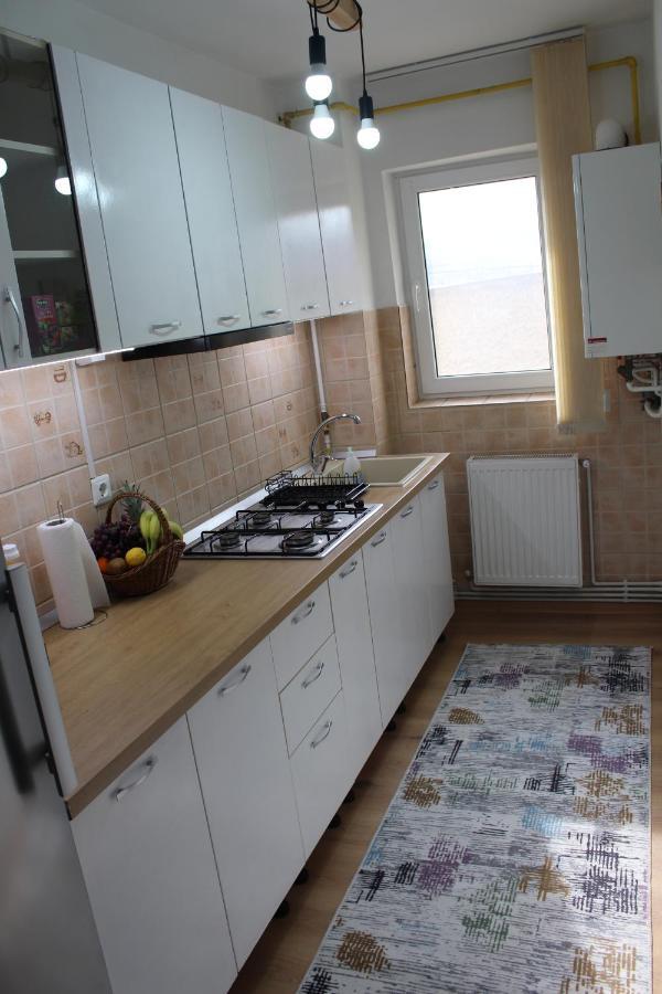 Apartament Cina Husi エクステリア 写真