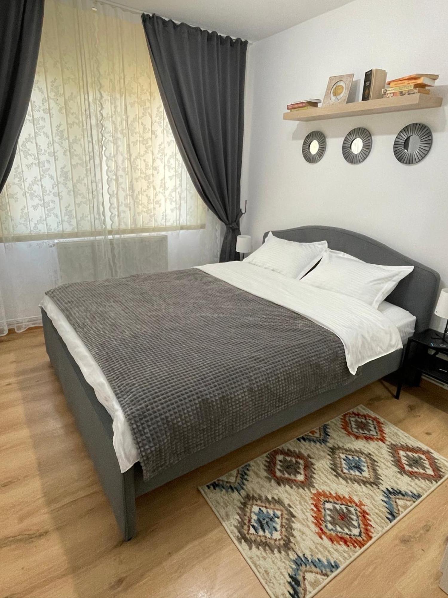 Apartament Cina Husi エクステリア 写真